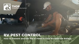 RV Pest Control: How to Prevent and Get Rid of Pests in Your RV