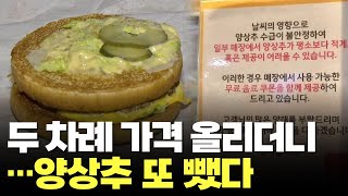 가격 두 번 올리고…맥도날드 햄버거서 또 사라진 양상추