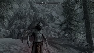 #53 【スカイリム（Skyrim Special Edition）】先人の湿地を目指して（ガーディアン・ウルフ）【\u0026G】