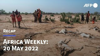 Africa Weekly: In Ethiopia Somali nomads face devastating droughts | AFP