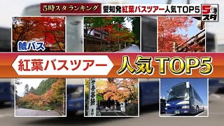 【紅葉バスツアー】人気トップ5　問い合わせは昨年の３倍【ランキング】 (2022年11月7日)