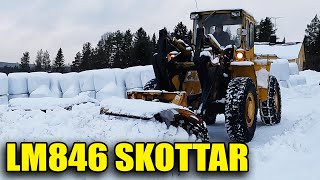 LM846 SKOTTAR HELA GÅRDEN