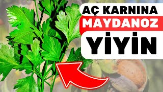 Maydanoz Yemek Vücudunuza Bunları Yapıyor | Maydanozun Faydaları Ve Zararları Nelerdir?