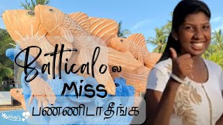 மீன் பாடும் தேன் நாடு மட்டக்களப்பு | Top 10 things to do in Batticaloa | Shapi #batticaloa