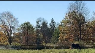 Autumn drive through the Northwest Hills of Litchfield CT.