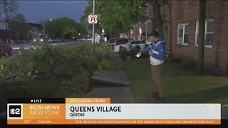 Powerful rain takes down tree in Queens