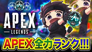 【APEXランク】やっほぅ!!!!  元気もりもり!!!!  魔境と噂されているプラチナ帯にやってきたぜぃ!!!!【ハセシン】Apex Legends