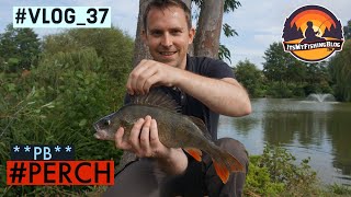 Perch on Prawns ***New PB Perch*** | Perch Fishing