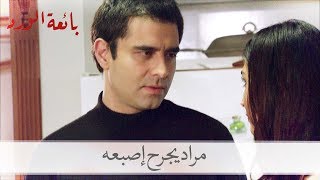 رد فعل حسرة حينما جرح مراد نفسه| بائعة الورد الحلقة 37