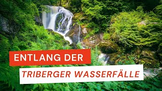 Entlang der Triberger Wasserfälle im Schwarzwald | Fotografieren lernen | #schwarzwald #herfurtfoto