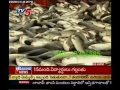 annapurna govt allotts huge budget for fisherman welfare tv5