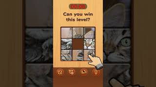 Jigsaw Puzzle Game: Wood Block