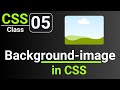 CSS Tutorial: CSS Background Image | CSS Background Property |CSS full course for beginners| Class 5