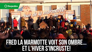 Fred la marmotte voit son ombre... et l'hiver s'incruste!