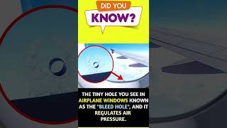 airplane window facts #facts #satisfying #shorts