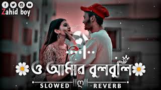 O Amar Bulbuli Sonar Moyna Re | ও আমার বুলবুলি সোনার ময়না রে (Slowed Reverb) Lofi Song | Bangla Son