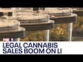 Long Island town ranks over $1M in legal cannabis sales