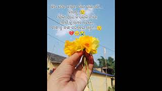 କିଏ ଦେବ ଜୀବନ ସାରା ସାଥ ଏଠି...!😢/odia _story😟#whatsapp_status🥺#breakup_status💔#support