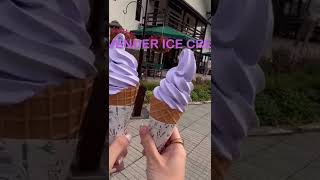 Lavender Ice Cream in Furano Japan | 北海道富良野の富田ファームでラベンダーアイス#short  #shorts