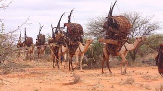 Gabay Cajiib ah Abwaan Cismaan Aadan Aar \