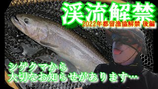 【渓流釣り】桂川解禁後編〜旅立ち〜