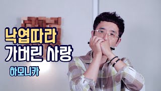 차중락-낙엽따라 가버린 사랑 [하모니카] Cover 정훈 A키