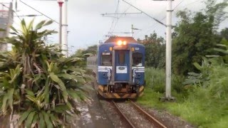 台鐵4637次EMU500型區間車進站(志學)