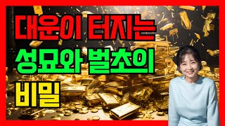 성묘와 벌초의 비밀, 조상님도 기뻐하실 필수 아이템!