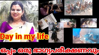 Day in my  life: ... --- എന്റെ ഒരു ദിവസം ഇങ്ങനെ ഒക്കെയാണ്