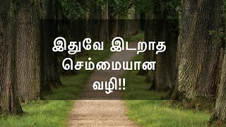 இடறாத செம்மையான வழி!Daily devotional in Tamil by Hepzibha Edwin l 01.09.2023