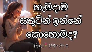 𝐏𝐨𝐬𝐢𝐭𝐢𝐯𝐞 𝐏𝐨𝐝𝐜𝐚𝐬𝐭 l හැමදාම සතුටින් ඉන්නේ කොහොමද? 🌸💕 #sinhalapodcast #positivevibes