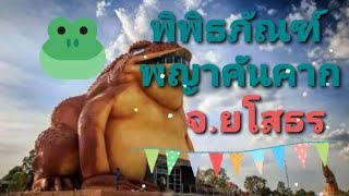 พิพิธภัณฑ์พญาคันคาก# พญานาคี #จ.ยโสธร