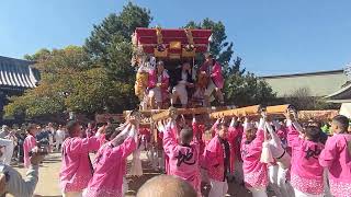 明石市二見町　御厨神社　秋祭り本宮⑤