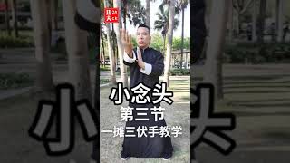 咏春拳小念头教学第3节一摊三伏手（Wing Chun XiaoNianTou teaching）