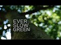 Ever Slow Green | Trailer | English | 2020