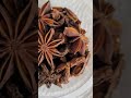 Star anise – the eight-pointed seed