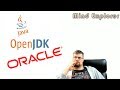 Java releases going forward