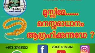 മുസ്ലിമേ മനസ്സമാധാനം ആഗ്രഹിക്കുന്നുവോ?/ Islamic speech / Voice of Islam / ഇസ്ലാമിക പ്രഭാഷണം