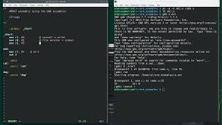ARMv7 Assembly using GNU Assembler: Strings