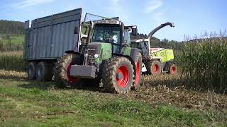 Großeinsatz Maishäckseln made in Styria  mit Class Jaguar 870 6 Reihig für Biogas Anlagein der