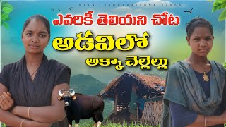 అడవిలో అక్క చెల్లెల్లు | tribal people in dense forest ||natural life|| kondhu tribes|| # village