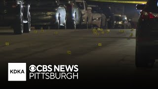 Allegheny County police investigating shooting in Rankin