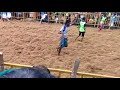 angiyanur jallikattu02.05.18. vettakudi rajenthiran and angiyanur ramaraj pp avargalin kaalaigal...