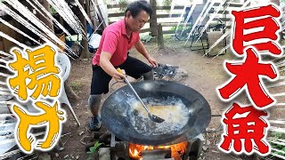 日本一かもしれない高級オオモンハタを巨大鍋で揚げて豪快山料理！