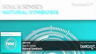 Soul \u0026 Senses - Natural Symbiosis (Original Mix)