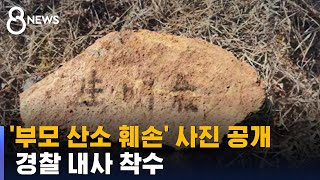 이재명 대표, '부모 산소 훼손' 사진 공개…내사 착수 / SBS 8뉴스