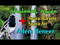 Sholawat Syifa Plus suara burung dan suara air bikin tenang hati