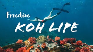 Freedive เกาะหลีเป๊ะ ดำน้ำโซนใน โซนนอก ร่องน้ำจาบัง ปะการังสีสวยสุดๆ | Koh Lipe Thailand