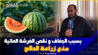 ها علاش تمنع زراعة الدلاح بإقليم تاونات..عضو من الغرفة الفلاحية يرد على احتـ.ــجاجات الفلاحة....