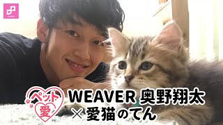 【ペット愛】奥野翔太（WEAVER）× 愛猫のてん vol. 2